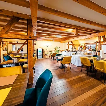 海克斯温科尔酒店 Wiernsheim